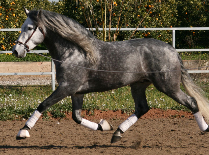 Foto de Aguardiente II